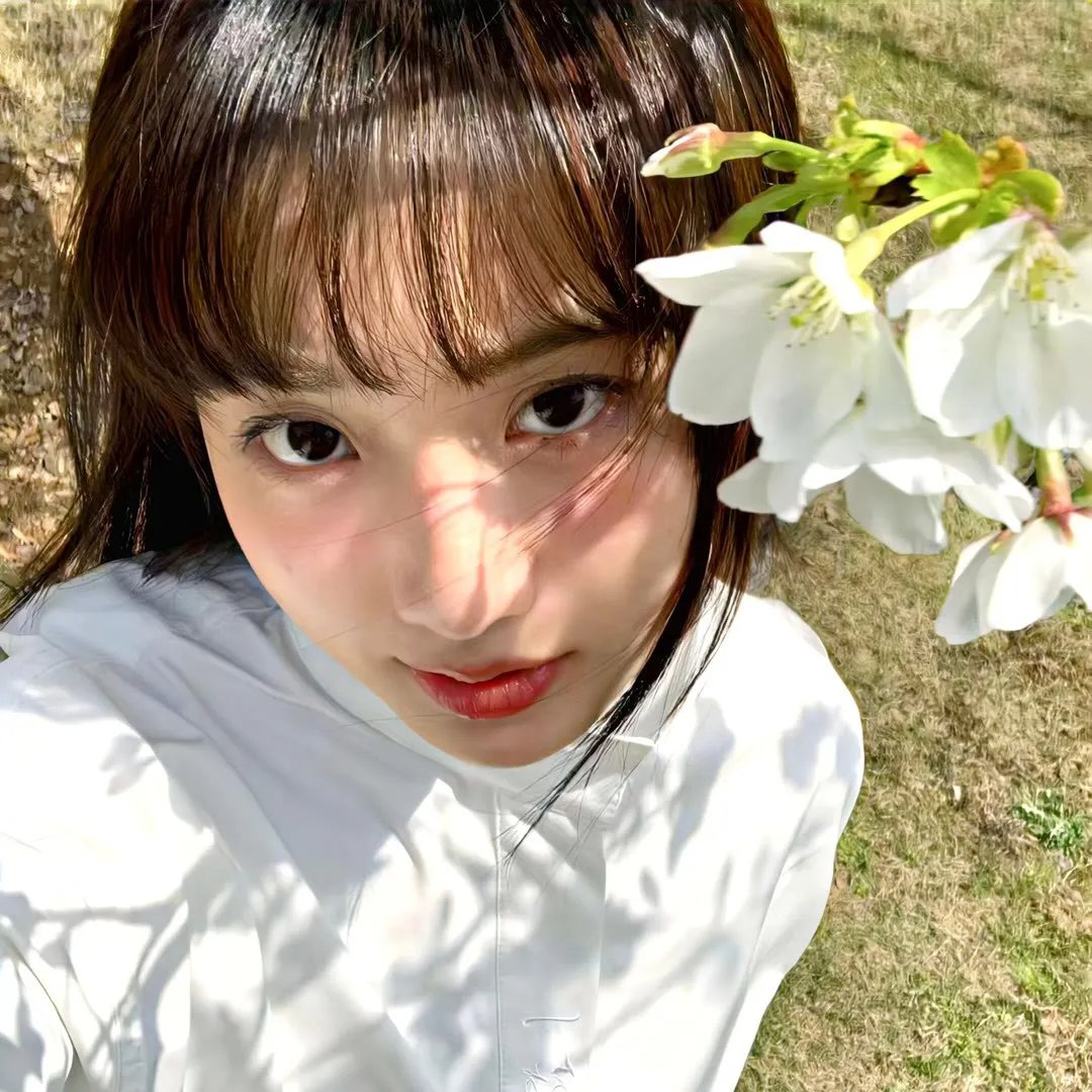红莓花儿开